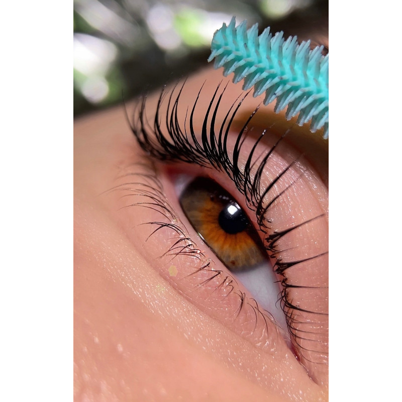 Lash Lamination Glue Balm + Free Laminator вЂ“ Lash Lift Brush PLATINUM