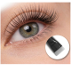 PLATINUM Lash & Brow Lifting Set вЂ“ Pink Silicone Palette + Lifting Brush